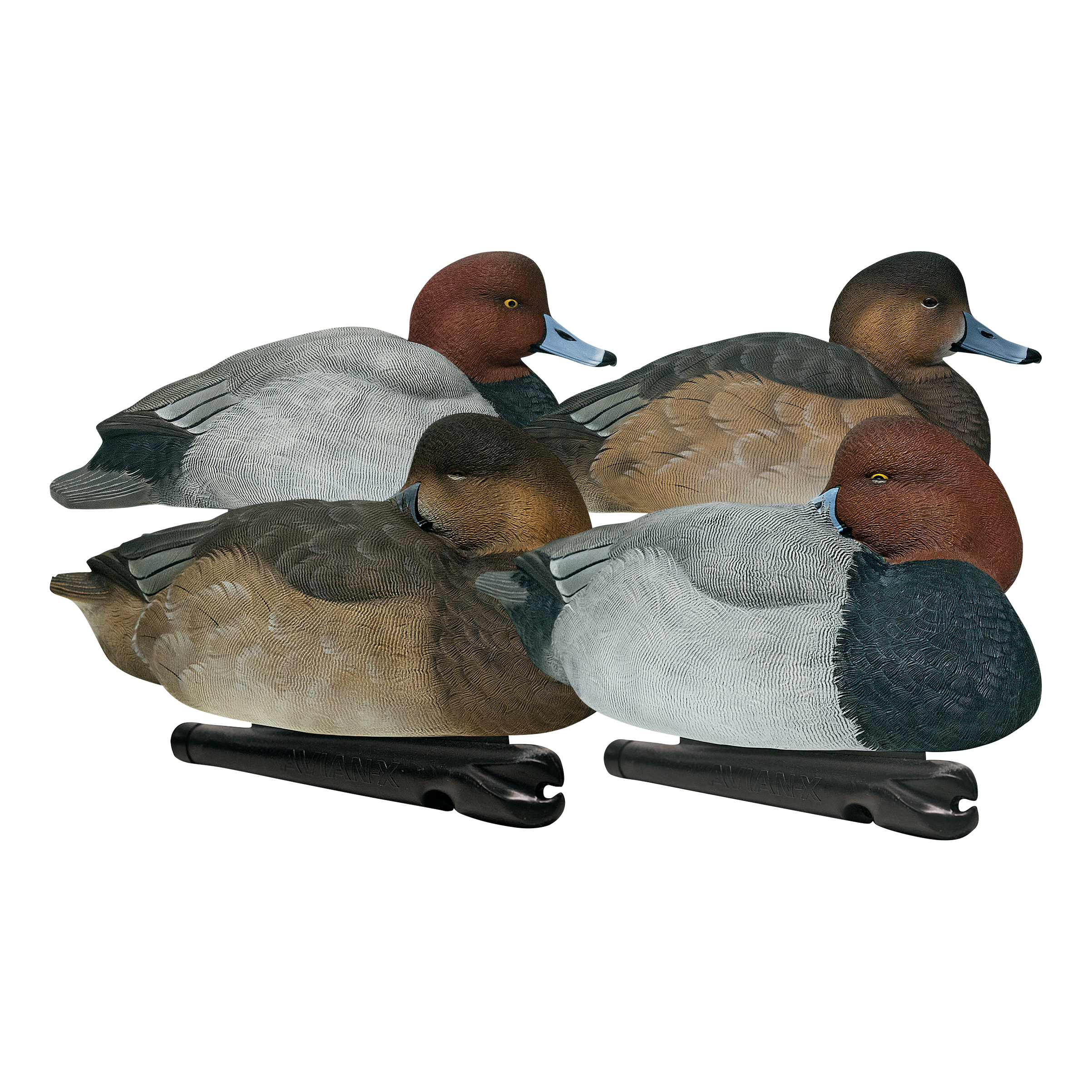 AvianX Topflight Red Head Duck Decoys Bass Pro Shops